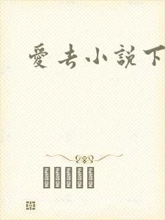 爱去小说下载网