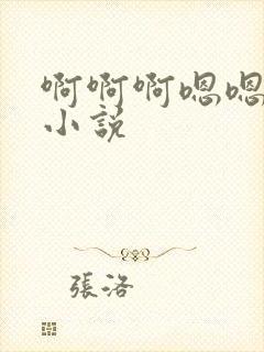 啊啊啊嗯嗯嗯h小说封面