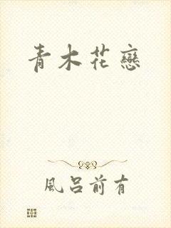 青木花恋封面