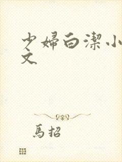 少妇白洁小说全文