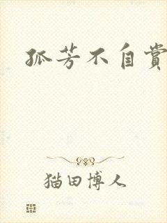 孤芳不自赏小说