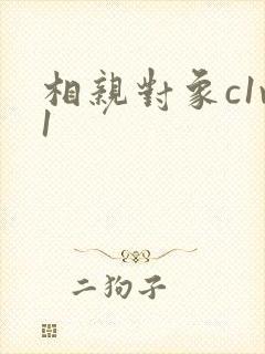 相亲对象c1v1封面