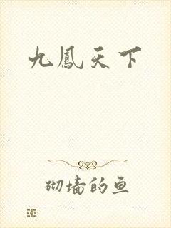 九凤天下