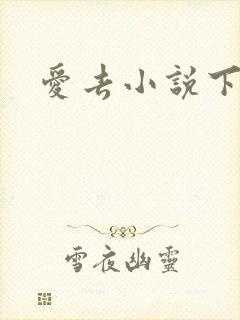爱去小说下载网