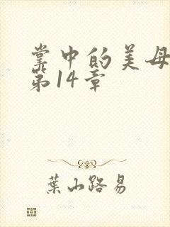 掌中的美母版主第14章