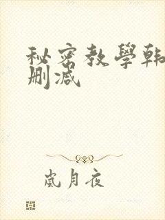 秘密教学韩漫无删减