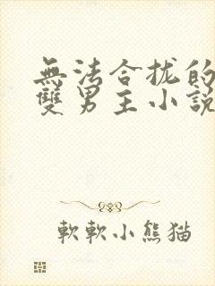 无法合拢的总裁双男主小说