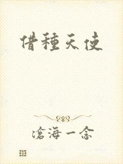 借种天使封面