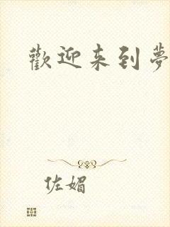 欢迎来到梦乐园封面