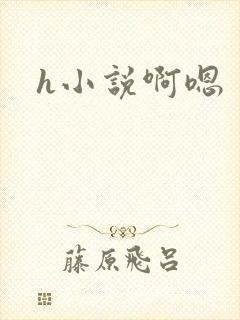 h小说啊嗯