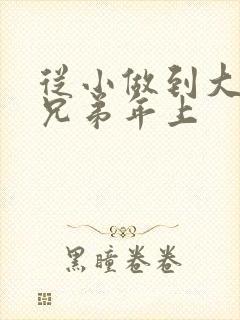 从小做到大骨科兄弟年上封面