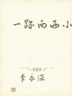 一路向西小说