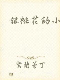 银桃花的小说