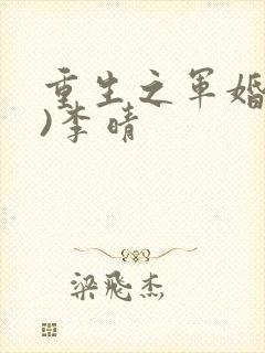 重生之军婚(h)李晴封面