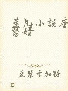 叶凡小说唐若雪医婿封面