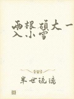 两根硕大一起挤入小雪