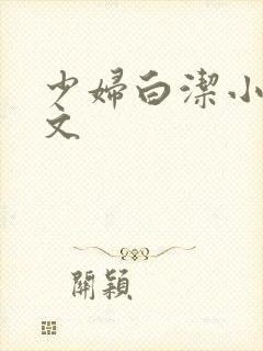 少妇白洁小说全文封面