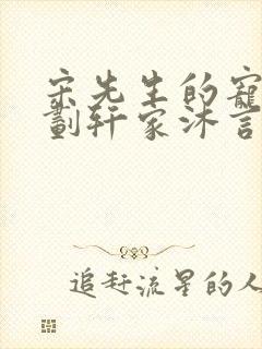 宋先生的宠妻计划轩家沐言