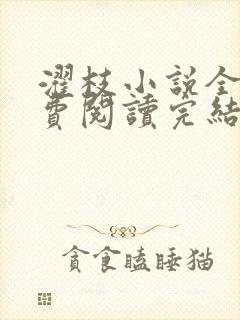 濯枝小说全文免费阅读完结