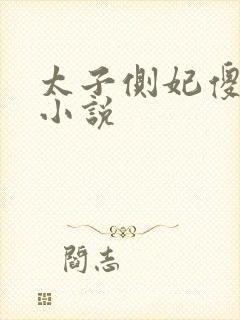 太子侧妃傻乎乎小说