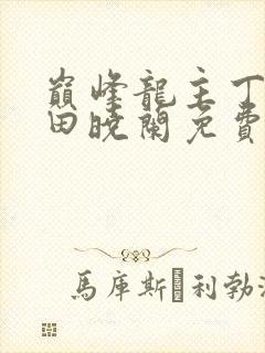 巅峰龙主丁长顺田晓兰免费阅读