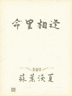 命里相逢
