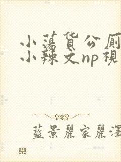 小荡货公厕h文小辣文np视频