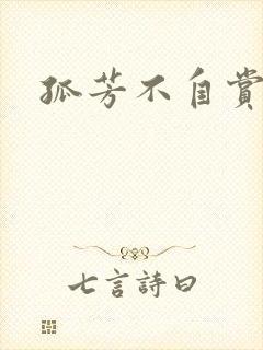 孤芳不自赏小说封面