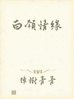 白领情缘