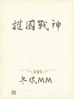 护国战神封面