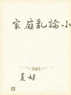 家庭乱论小说封面