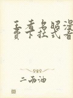 王者名昭漫画免费下拉式看漫画