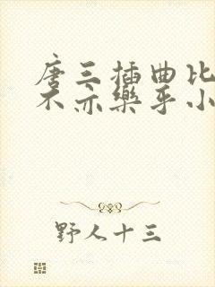 唐三插曲比比东不亦乐乎小说封面