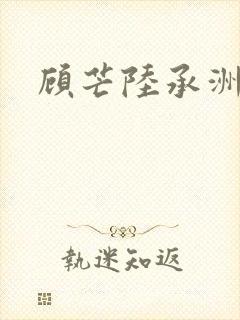 顾芒陆承洲封面