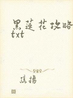 黑莲花攻略手册txt