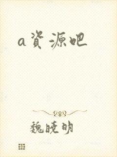 a资源吧