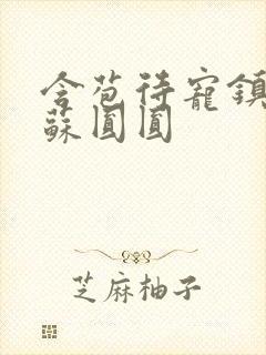 含苞待宠镇国公苏圆圆