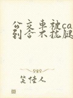 公交车被cao到合不拢腿视频封面