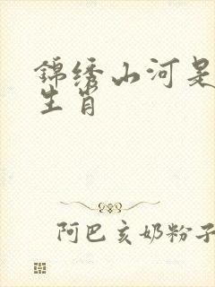 锦绣山河是什么生肖封面