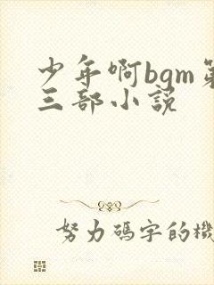 少年啊bgm第三部小说封面
