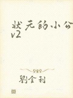 状元的小公主1v2封面