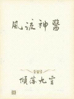 风流神医封面