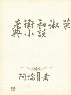 老卫和淑荣的经典小说