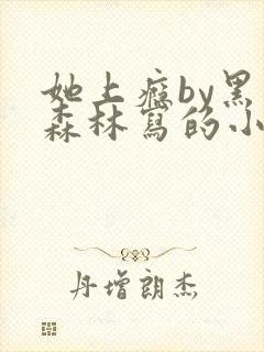 她上瘾by黑暗森林写的小说免费阅读无弹窗