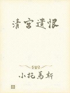 清宫遗恨封面