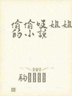 偷偷吸姐姐乳头的小说