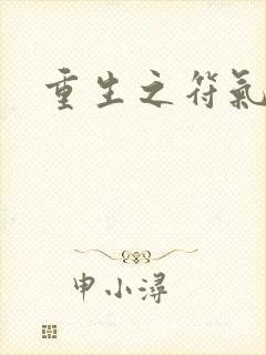 重生之符气冲天封面