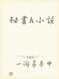 秘书h小说