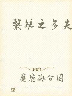 系统之多夫HP封面