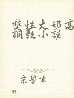 双性大奶高嗨黄调教小说